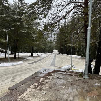 İlgaz Kayak Merkezi'nde Kar Olmadığına Rağmen Tur İptal Edilmediği İçin Ücret İadesi Talebi