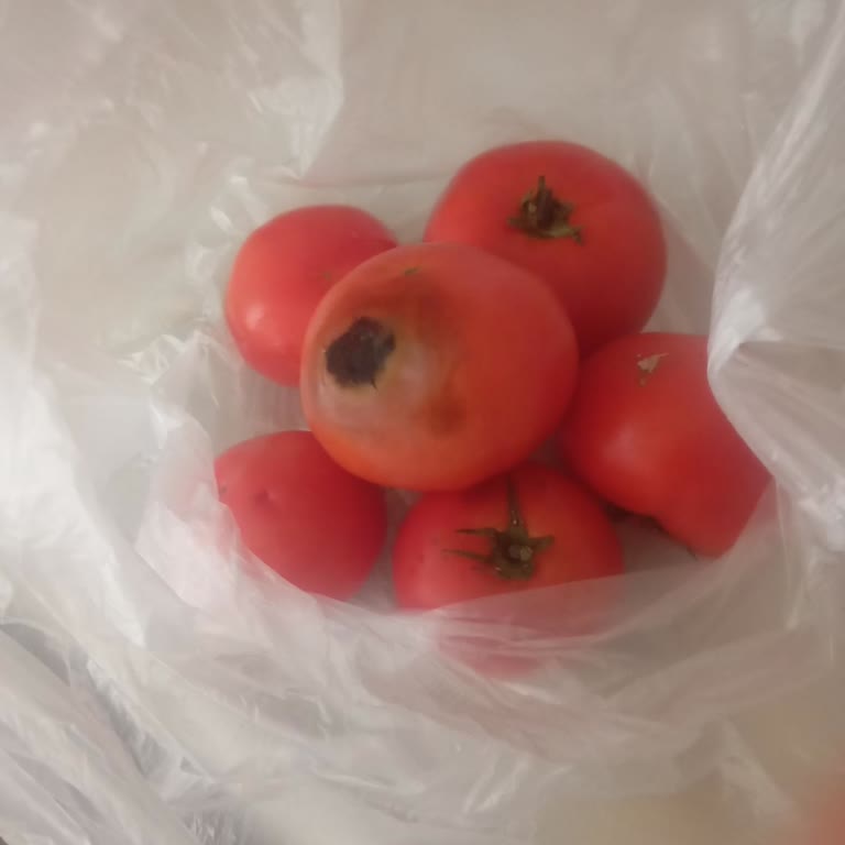 Gölet Gimsa Şubesinde Çürük Domates Dolumu Ve Müşteri Seçim Hakkı İhlali