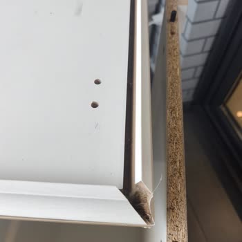 Kırık Gelen Kahve Köşesi İçin Cevapsız Müşteri Hizmetleri Ve Hızlı Değişim Talebi