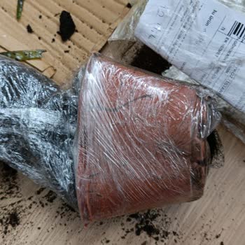 PTT Kargo Gecikmesi Çiçeği Çürüttü, Epttavm'den Şikayet