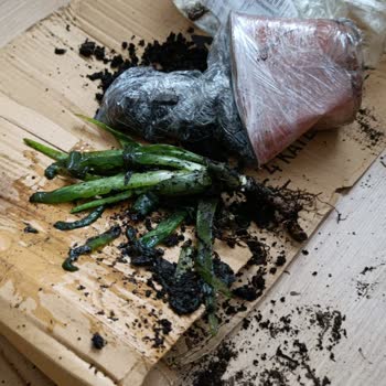 PTT Kargo Gecikmesi Çiçeği Çürüttü, Epttavm'den Şikayet