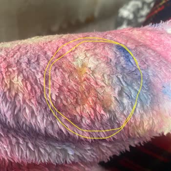 Peros Çamaşır Kapsülünün Eriyen Ambalajı Kıyafetleri Yapıştırarak Kullanılamaz Hale Getirdi