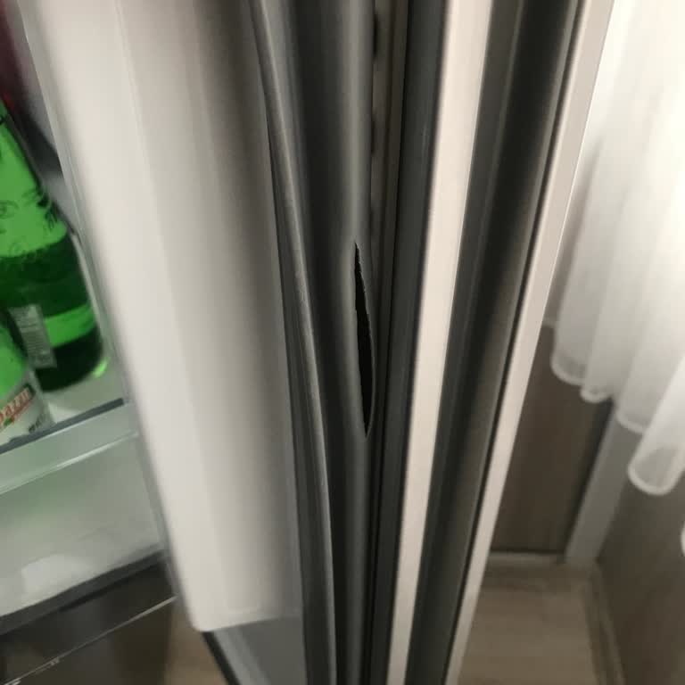 Siemens Buzdolabımın Kapı Fitilindeki Kırılma İçin Ücretsiz Garanti Onarımı Talebi