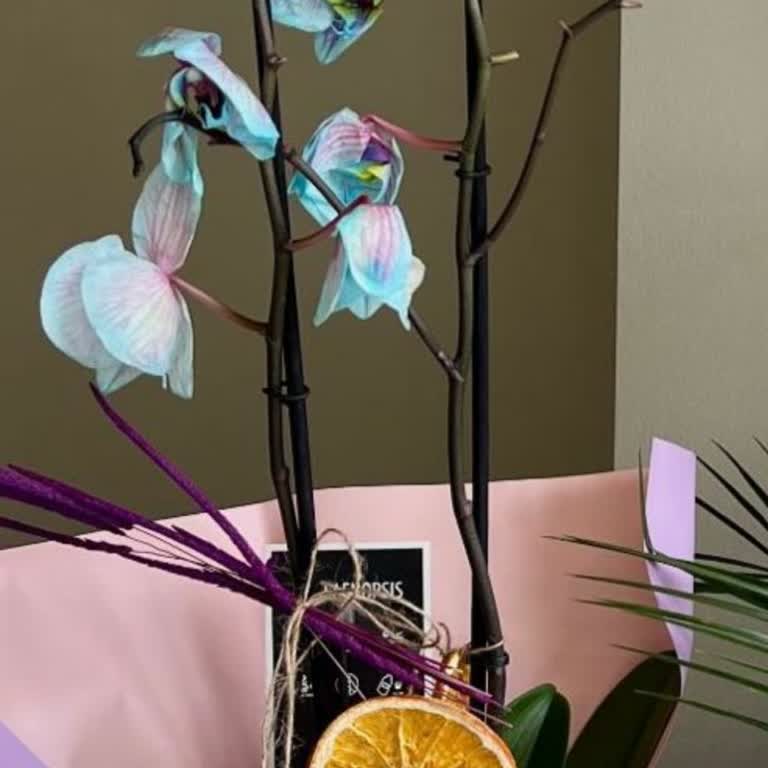 Görselle Uyuşmayan Bakımsız Orkide Ve Cevapsız Müşteri Hizmeti