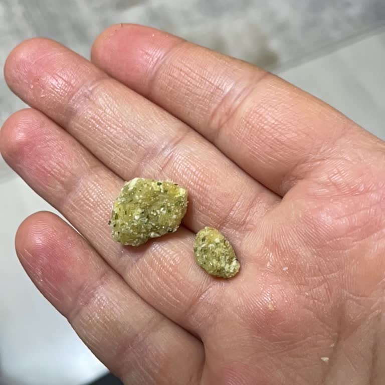 Lezzetsan Leptos'un Bozuk Çıkması