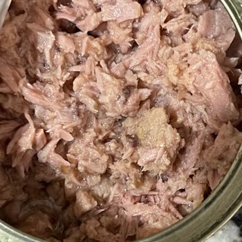 Dardanel Ton Balığındaki Siyah Parçalar Hijyen Ve Güvenlik Endişesi Yaratıyor