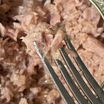 Dardanel Ton Balığındaki Siyah Parçalar Hijyen Ve Güvenlik Endişesi Yaratıyor