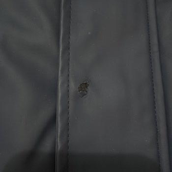 Defolu Ve Etiketsiz Çocuk Montu İçin Kargo İade Ve Hediye Çeki Talebi