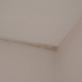 Işıklar Mühendislik Yağmurdan Sonra Odanın İki Köşesinden Ve Salon Penceresinden İçeriye Su Girmekte