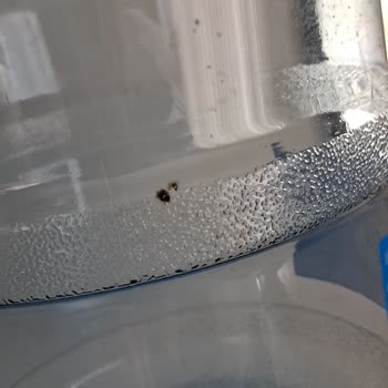 Saka Su İçinde Siyah Küf Benzeri Lekeler Olduğunu Fark Ettim