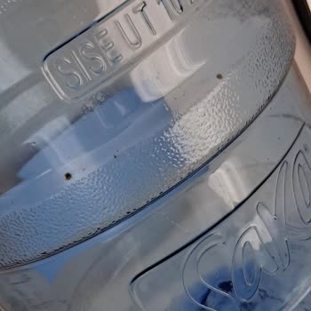 Saka Su İçinde Siyah Küf Benzeri Lekeler Olduğunu Fark Ettim