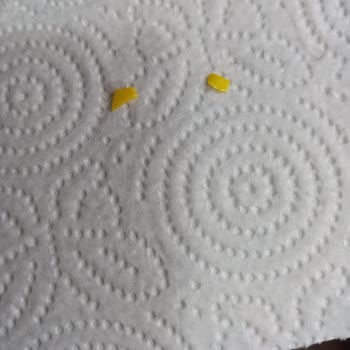 Lavi Dondurulmuş Meyve Şikayeti