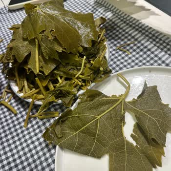 @tokatyaprak.dukkani Instagram'dan Asma Yaprağı Siparişinde Kalitesiz Ürün Ve Cevapsız Destek