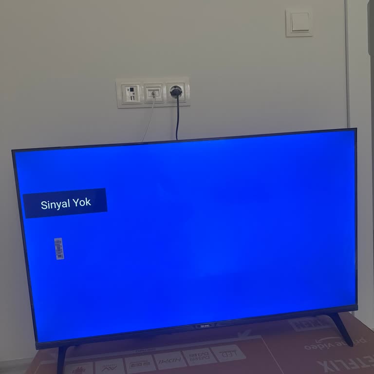 Kurulum Desteği Yok, Müşteri Hizmetinde Kaba Tutum