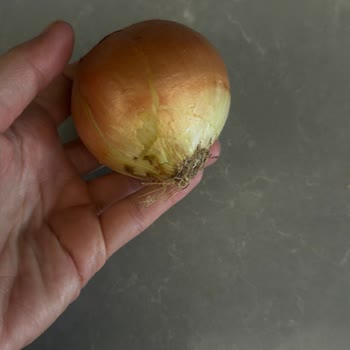 Teslimat Gecikmesi, Eksik Gramaj Ve Çürük Meyve Sebze Ürünleri Nedeniyle Tam İade Talebi