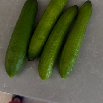 Teslimat Gecikmesi, Eksik Gramaj Ve Çürük Meyve Sebze Ürünleri Nedeniyle Tam İade Talebi