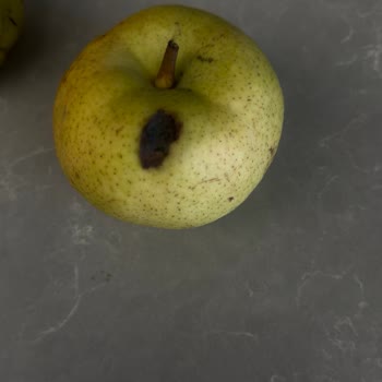 Teslimat Gecikmesi, Eksik Gramaj Ve Çürük Meyve Sebze Ürünleri Nedeniyle Tam İade Talebi