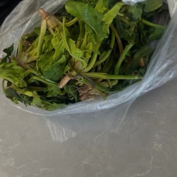 Teslimat Gecikmesi, Eksik Gramaj Ve Çürük Meyve Sebze Ürünleri Nedeniyle Tam İade Talebi