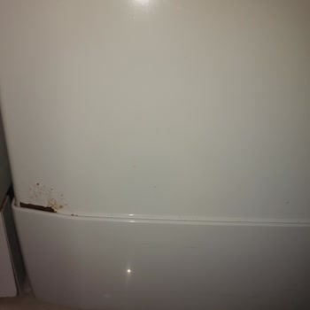 Arçelik Makinelerde Boya Kabarması Ve Paslanma, 800 TL Servis Ücreti İadesi Talebi