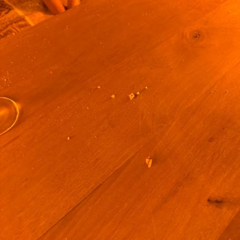 Olenda Premium Cappadocia'da Şarap Hatası, Saygısız Üslup Ve Hijyen Eksikliği