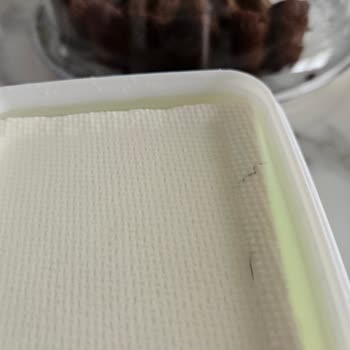 Sütaş Beyaz Peynirde Kıl Çıktı: Hijyen İhlali Ve Güven Kaybı