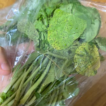 İkinci Şansımda Küflü Domates Ve Yanıltıcı Etiketler, Güvenim Kırıldı