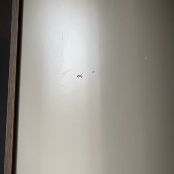Samsun Doğtaş'tan Teslim Gecikmesi, Lekeli Sandalyeler Ve Hasarlı Gardırop İçin Acil Değişim Talebi