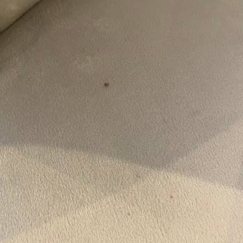 Samsun Doğtaş'tan Teslim Gecikmesi, Lekeli Sandalyeler Ve Hasarlı Gardırop İçin Acil Değişim Talebi