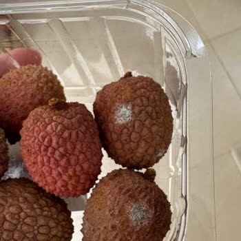 Lychee Meyvelerinin Küflü Gelmesi Ve Müşteri Hizmetlerinden Yanıtsız Kalınması