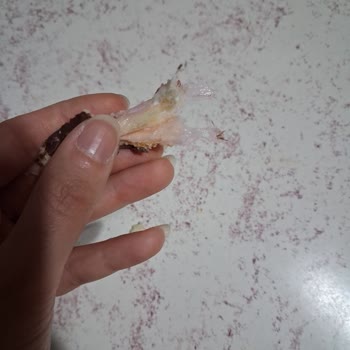 Ülker Kekstra Cremo’da Plastik Streç Film