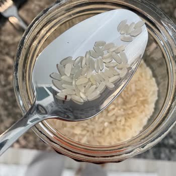 Harras Pilavlık Pirinçte Böcek Bulunması Ve İade Talebi