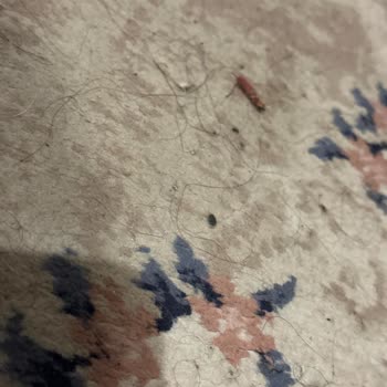 Mısır Turunda Kirli Otel Ve Bozuk Donanım Nedeniyle Kısmi İade Talebi