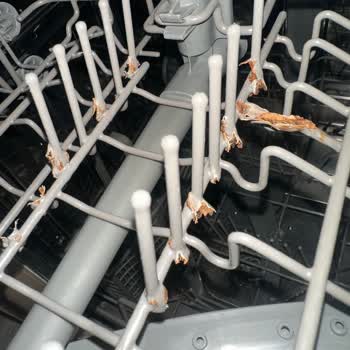 Teka Bulaşık Makinesinde Sepetlerde Aşırı Paslanma Ve Çürüme