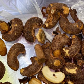 Pınar Kuruyemiş Kabuklu Kaju'da Sigara İzmariti Ortaya Çıktı