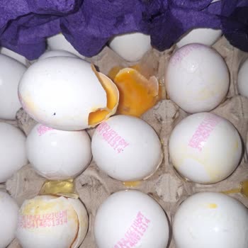 Patlak Ve Kırık Yumurta Ve Kefir Gelen Siparişte Müşteri Hizmetleri Geri Dönüş Yapmadı