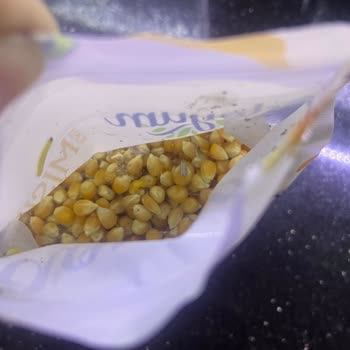 Organik Patlatmalık Mısırda Böcek Ve Kurt Görülmesi Hijyen İhlali Ve Güven Kaybı