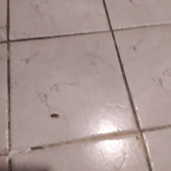 Elham Tur Umre Turunda Beklenen 20 Gün Yerine 18 Gün, Hijyenik Olmayan Otel Ve Kılavuzsuz Hizmet