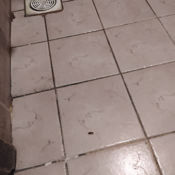 Elham Tur Umre Turunda Beklenen 20 Gün Yerine 18 Gün, Hijyenik Olmayan Otel Ve Kılavuzsuz Hizmet