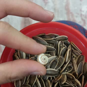 Keyfi Tat Kuruyemiş Hem Hijyen Hem De Sağlık Açısından Son Derece Rahatsız Edici