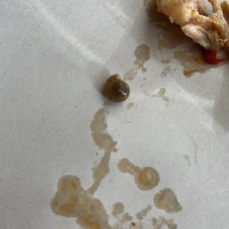 Afyonkarahisar Safiye Sultan Öğrenci Yurdu Şikayeti