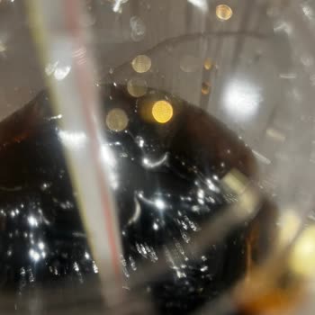 Mc Donald’s Dondurmasında Saç Çıktı, Hijyen Endişesi