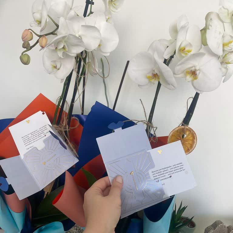 Sistem Hatası Nedeniyle Çift Teslimat Ve İade İsteği Reddedildi