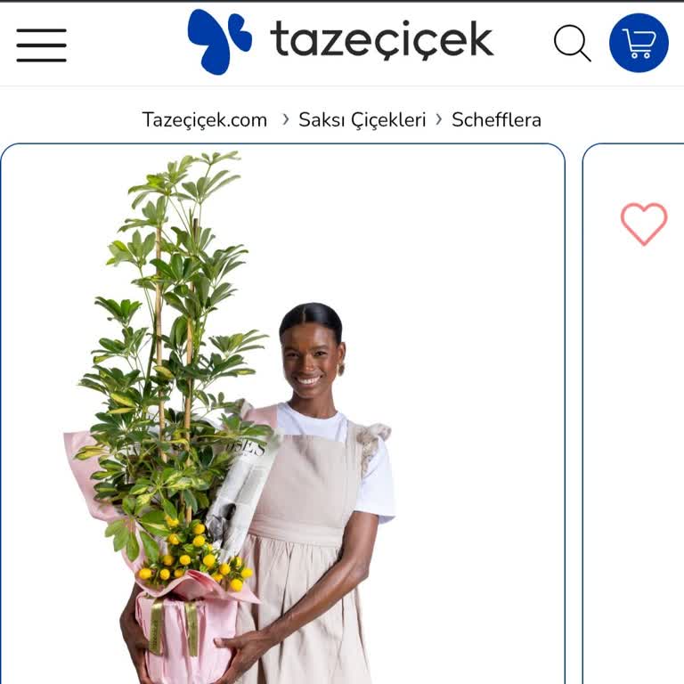 Geç Teslimat Ve Fotoğrafla Uyuşmayan Kalitesiz Çiçek Siparişi