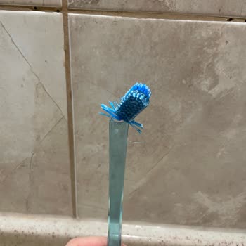 Kısa Sürede Diş Fırçası Kılları Başından Kırıldı