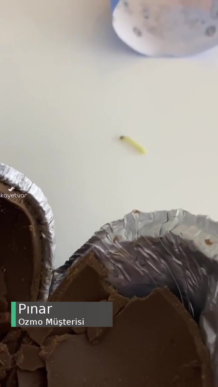 Ozmo Yumurtanın İçinden Canlı Kurt Çıktı videonun kapak resmi