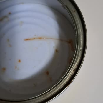 Dardanel Ton Balığında Kılçık: Çocuklar İçin Tehlike