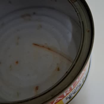 Dardanel Ton Balığında Kılçık: Çocuklar İçin Tehlike