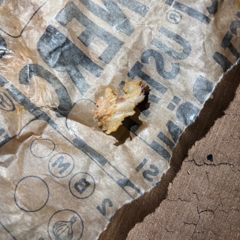 Dönerde Büyük Kemik Parçası Yara Açtı Ve Güvenlik Sorunu Yaratıyor