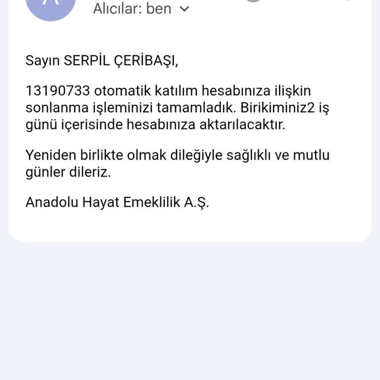 BES İadesi Yanlış Hesaba Yönlendirildiği Ve Söz Verilen Sürede Gelmediği İçin Mağduriyet