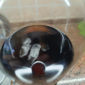 Didi Şeftali Aromalı Soğuk Çayda Küf Tespiti Ve Sağlık Riski